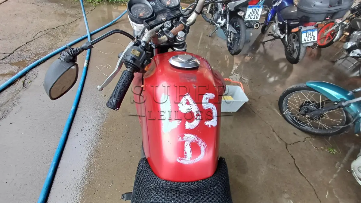 LOTE 0095
