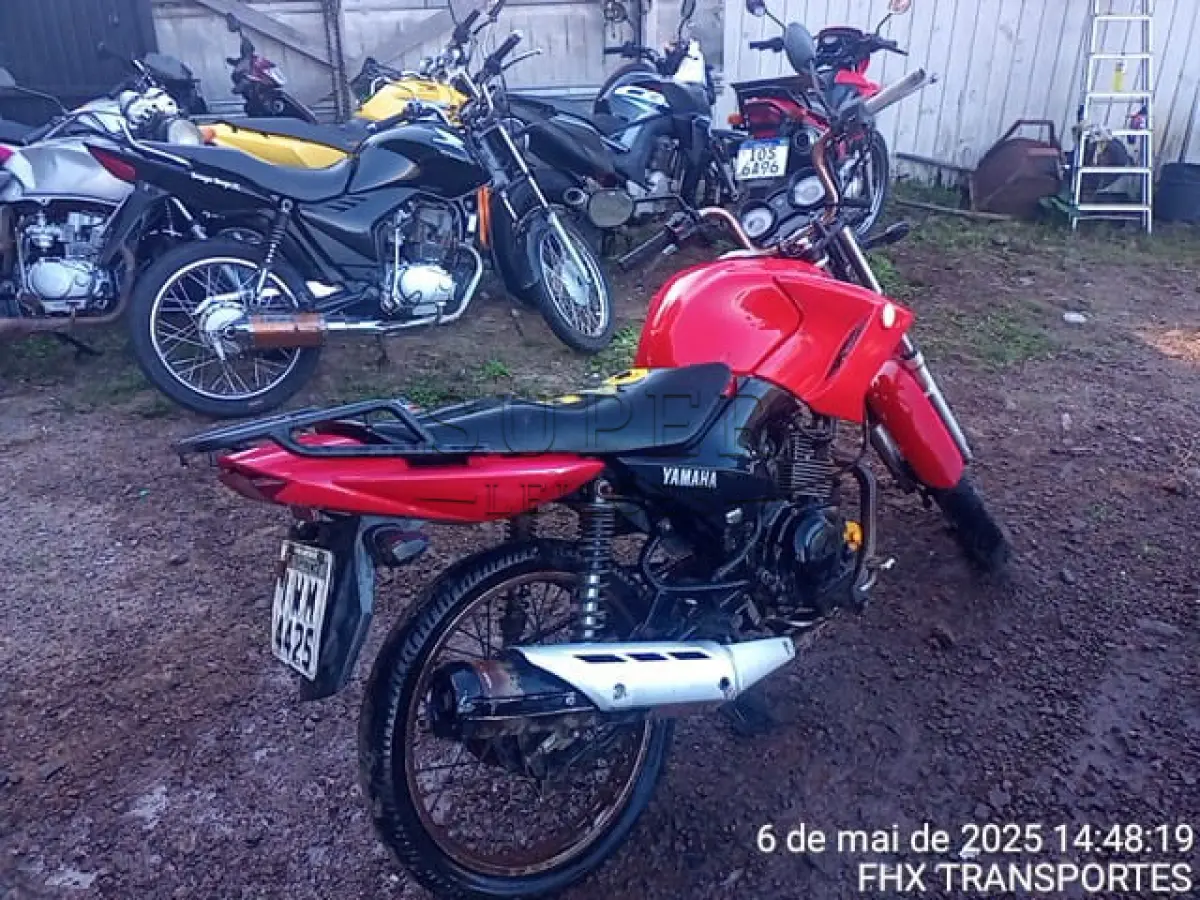 LOTE 0163