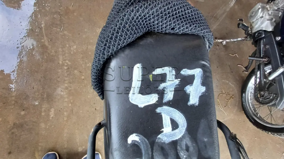 LOTE 0077