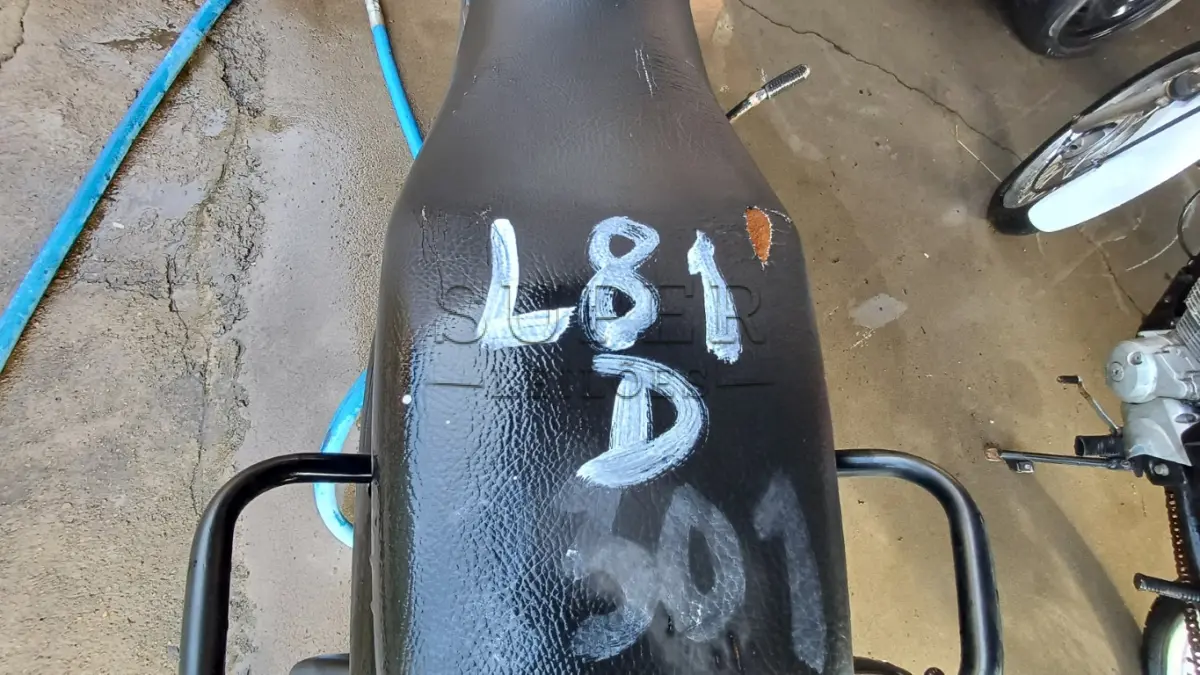 LOTE 0081
