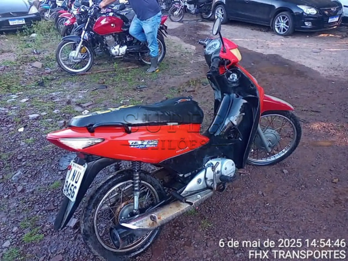 LOTE 0172