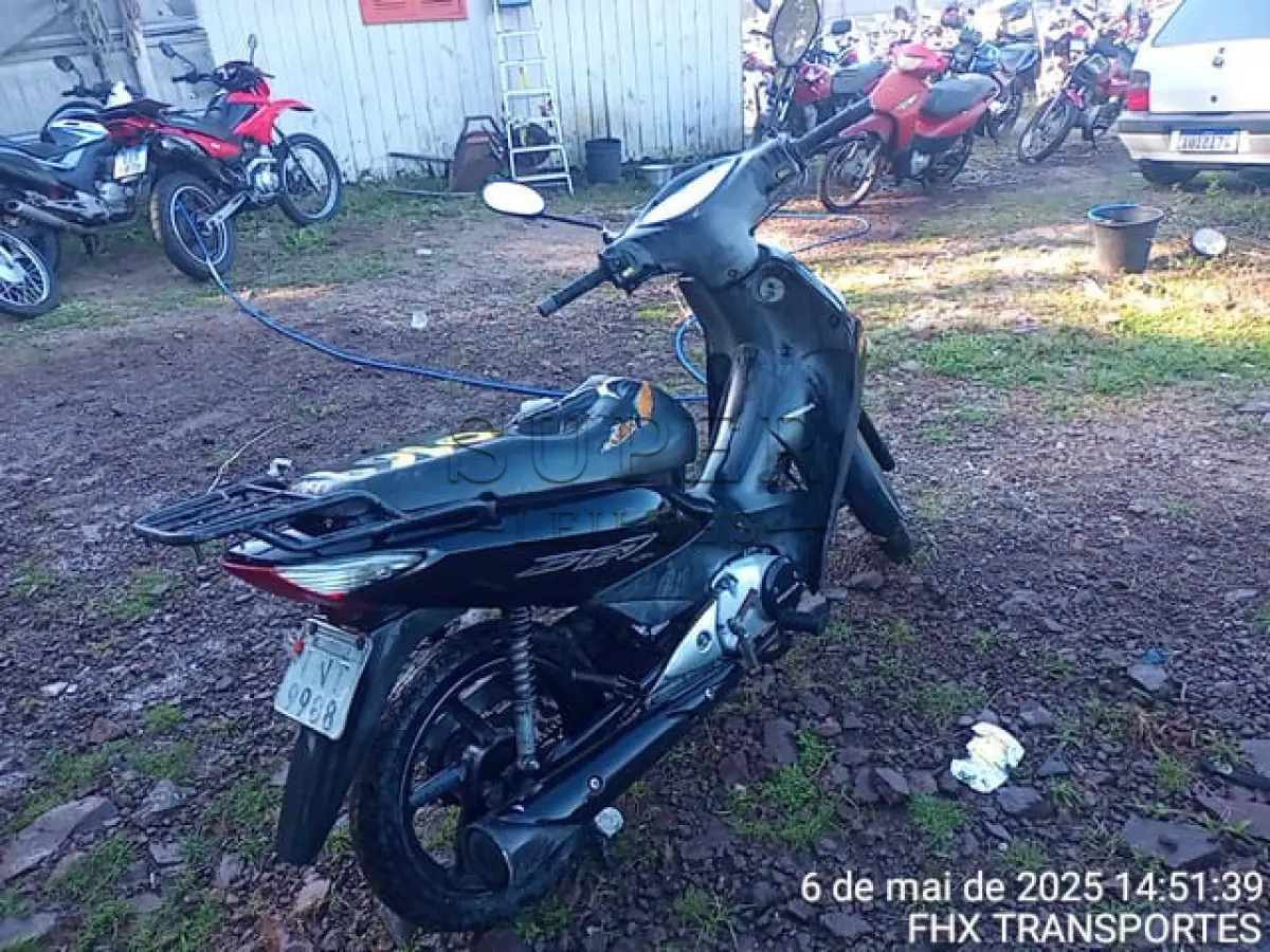 LOTE 0169