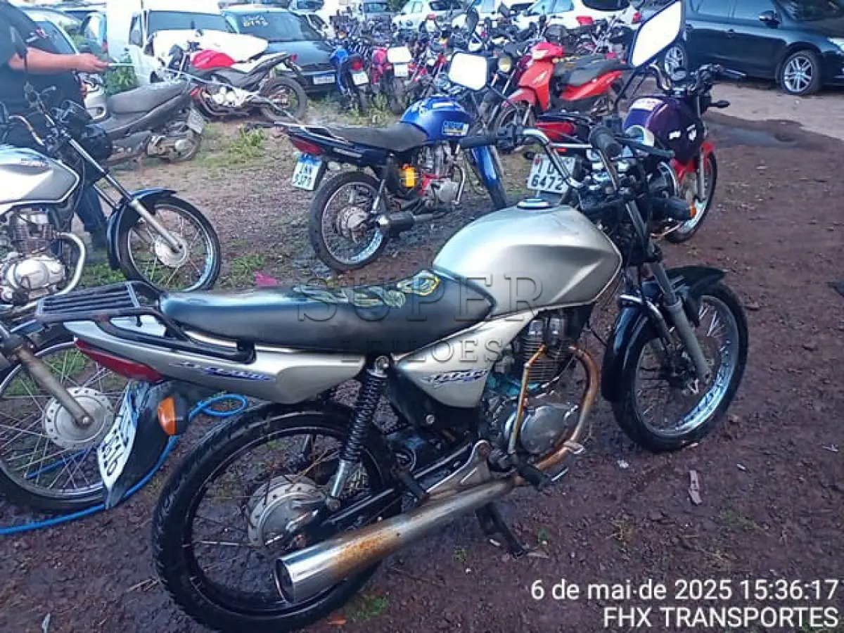 LOTE 0175