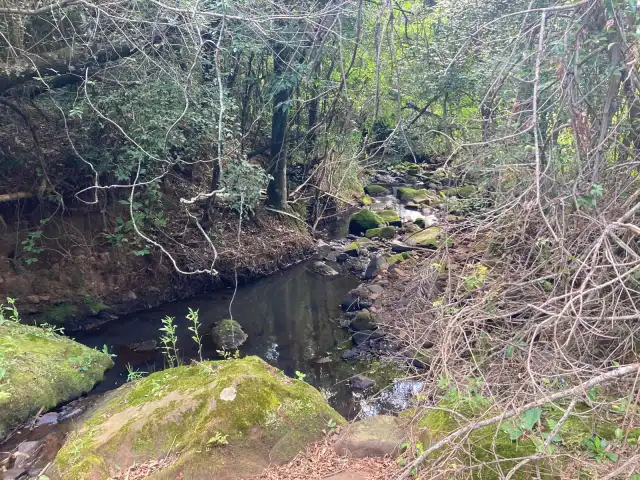 ÁREA DE  5ha7435m², localidade  Picada do Padre, 1º Distrito de São Francisco de Assis/RS