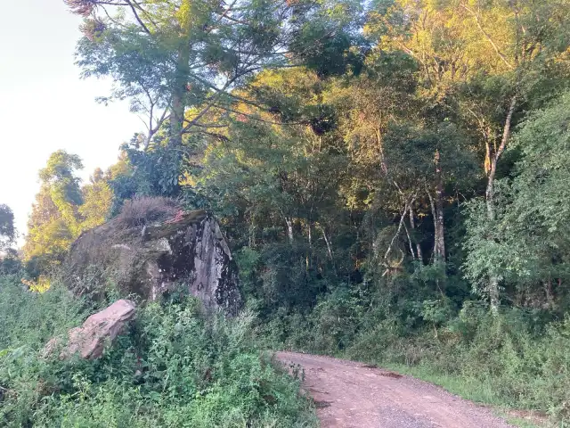 5 Hectares, situadas A 300 metros do Salão Comunitário São Valentin no município de Lagoão/RS