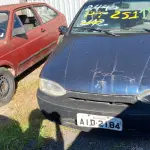 Foto 10