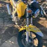 Foto 4
