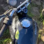 Foto 5