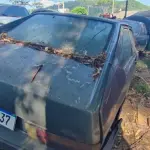Foto 12