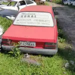 Foto 50
