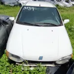 Foto 52
