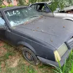 Foto 7