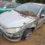 Foto 4