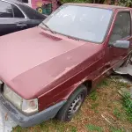 Foto 7