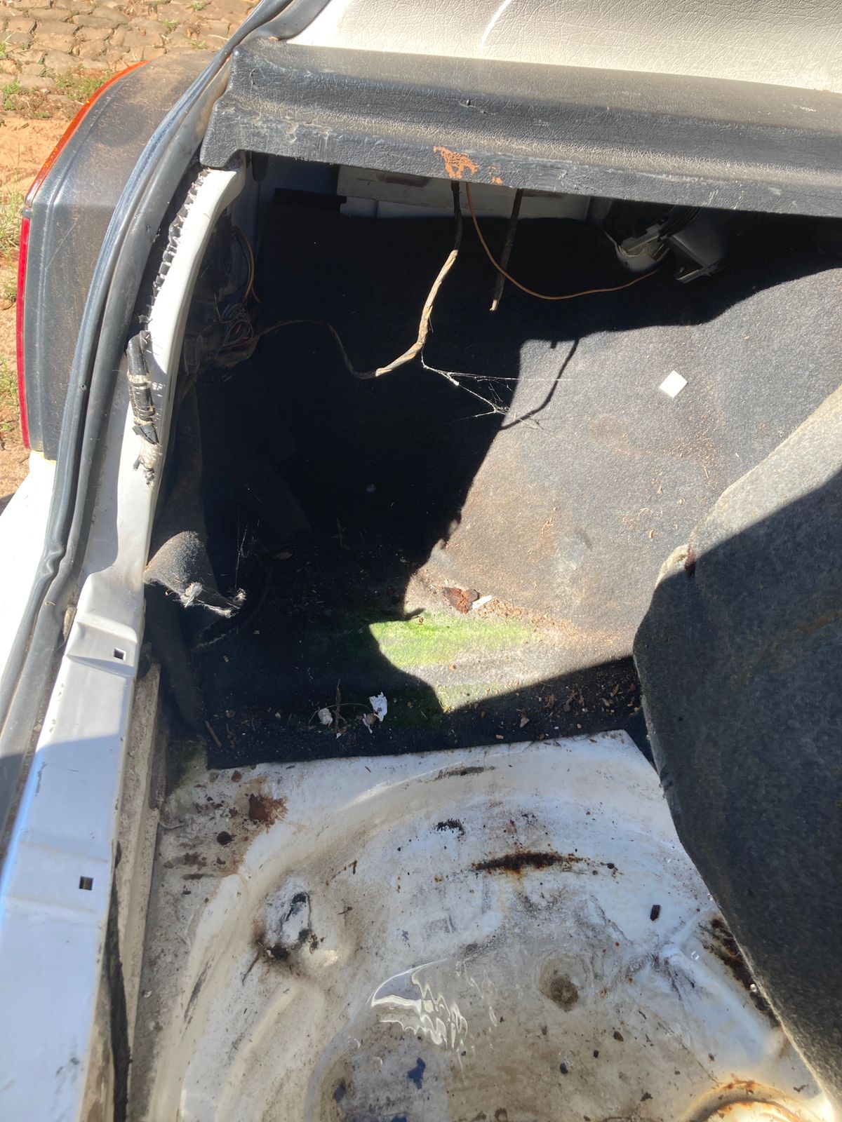 Foto 5
