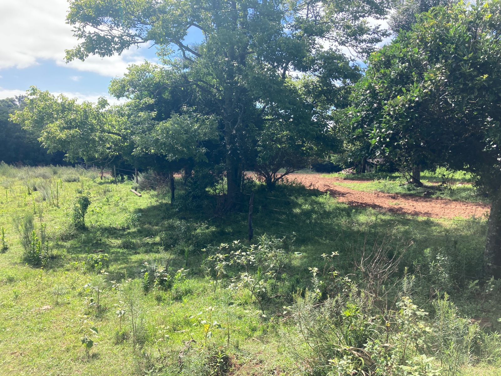 Foto 5
