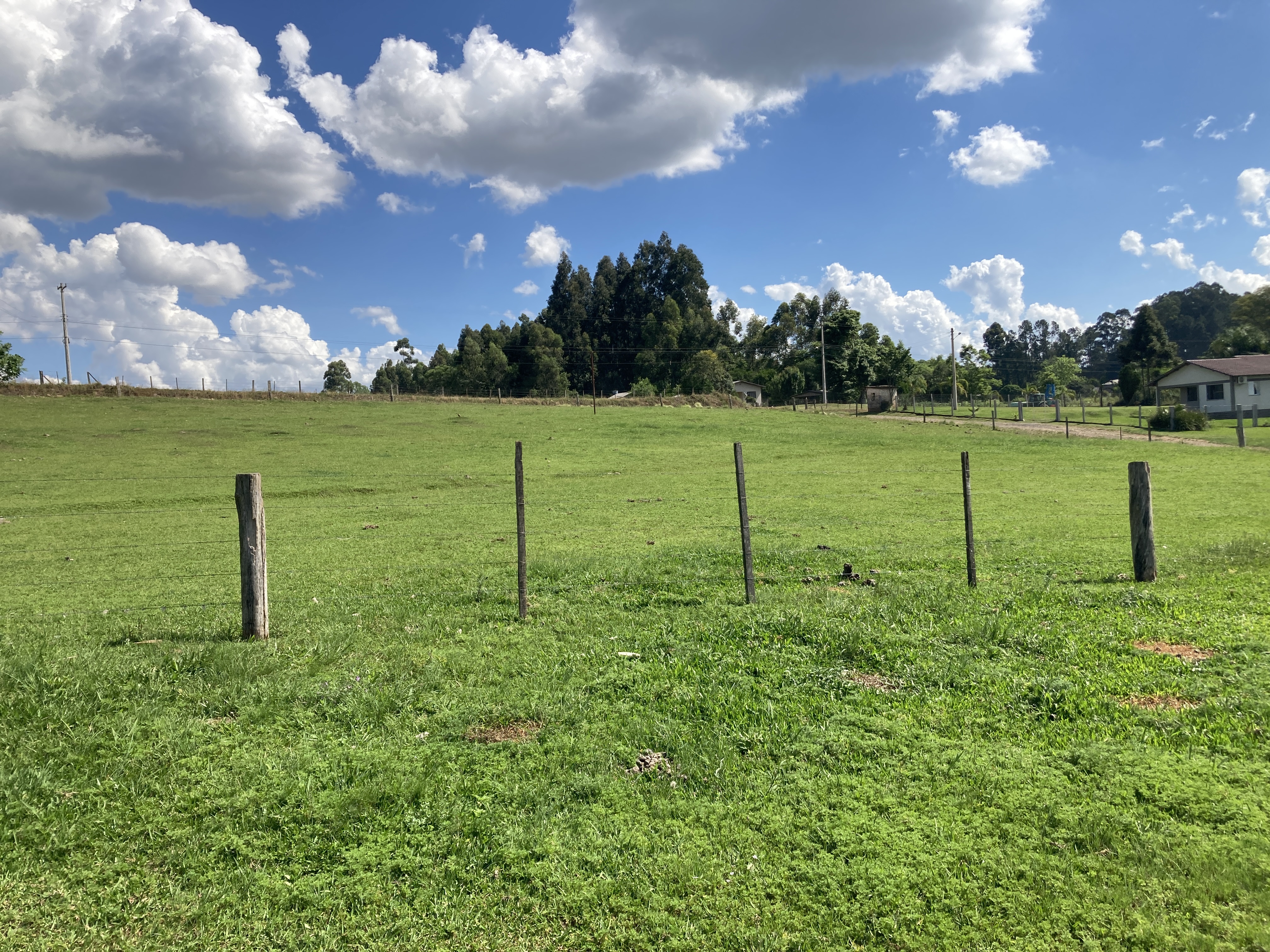 Área de 5ha 100m² e Um Trator MASSEY FERGUNSON, modelo MF 4275/4, ano e modelo 2016