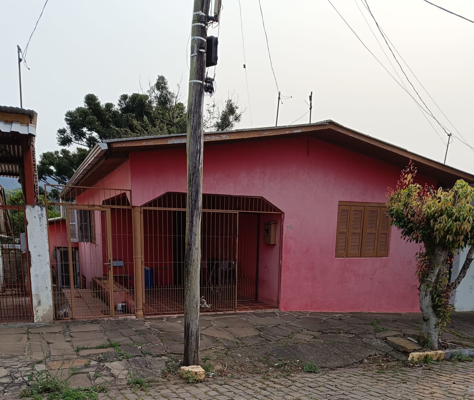 Foto 4