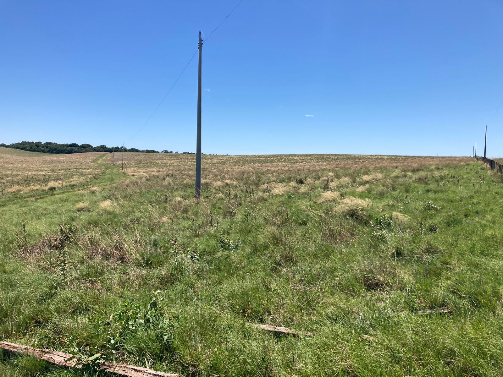 Área de 7ha66a,  5º Distrito, Capão da Laranjeira em São Francisco de Assis/RS