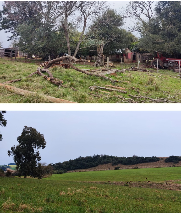 Lote 01 - Uma Fração De Campos E Matos Correspondentes, Situada No 3º Distrito Do Município De São Francisco De Assis/rs, Com Área Superficial De 47ha82a70ca, Matrícula Nº 936., localizado em São Francisco De Assis - RS
