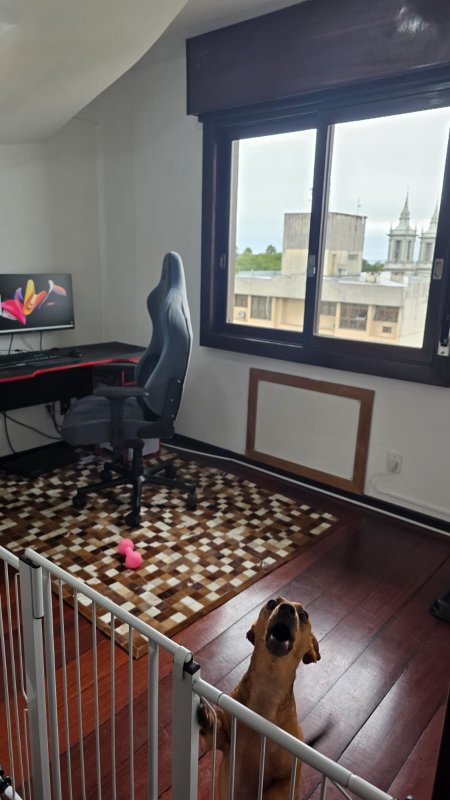 Foto 7
