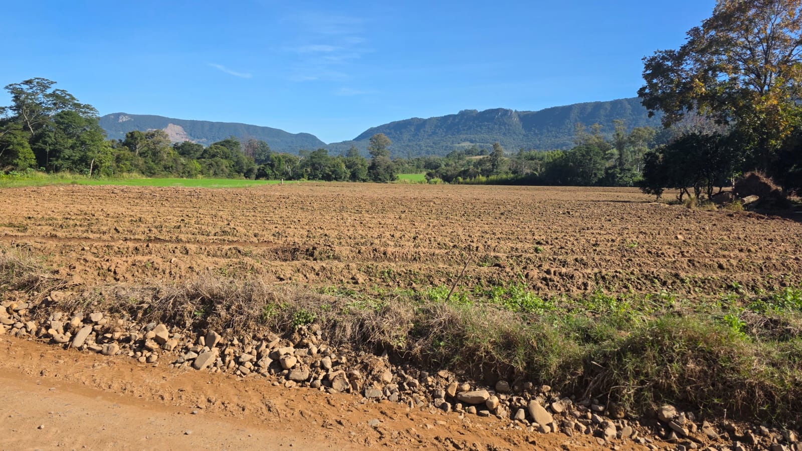 LOTE 006 - LOTE 02: Uma fração de terras, com área superficial de 0.9838 ha, em comum com área maior de 4,5 ha, sita no lugar denominado Cortado, matrícula antiga 6.672, nova matrícula 48833 no município de Paraíso do Sul.
