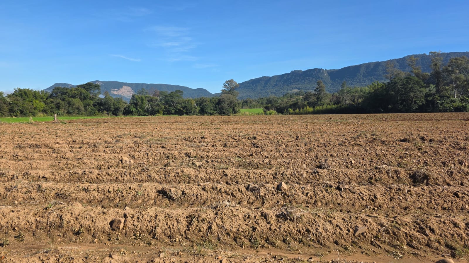 LOTE 006 - LOTE 02: Uma fração de terras, com área superficial de 0.9838 ha, em comum com área maior de 4,5 ha, sita no lugar denominado Cortado, matrícula antiga 6.672, nova matrícula 48833 no município de Paraíso do Sul.