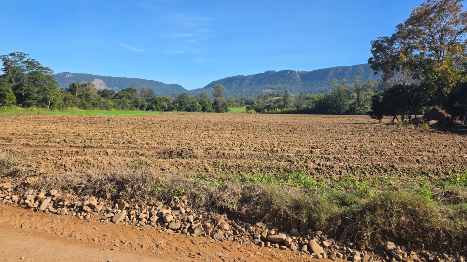 LOTE 006 - LOTE 02: Uma fração de terras, com área superficial de 0.9838 ha, em comum com área maior de 4,5 ha, sita no lugar denominado Cortado, matrícula antiga 6.672, nova matrícula 48833 no município de Paraíso do Sul.