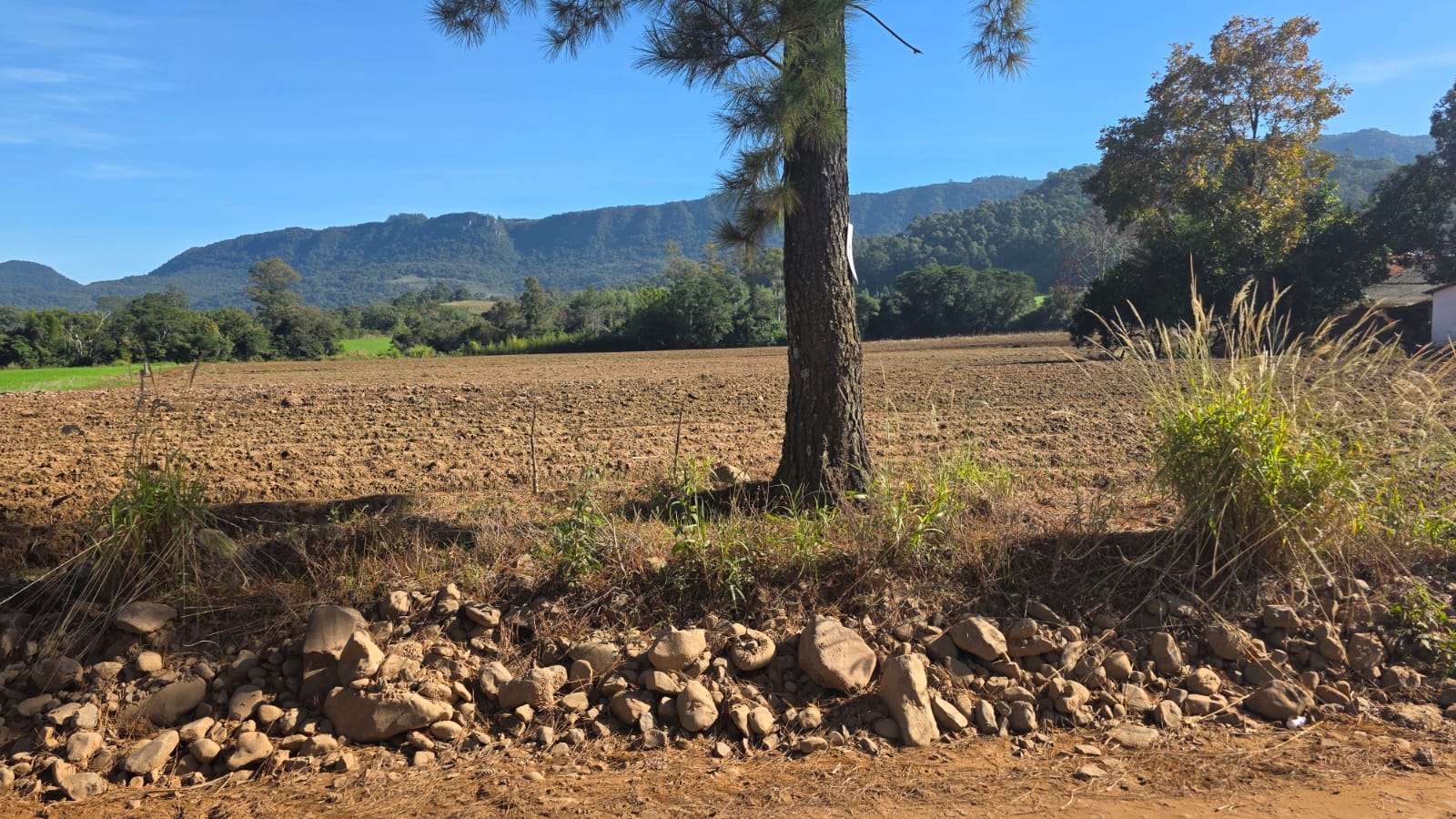 LOTE 006 - LOTE 02: Uma fração de terras, com área superficial de 0.9838 ha, em comum com área maior de 4,5 ha, sita no lugar denominado Cortado, matrícula antiga 6.672, nova matrícula 48833 no município de Paraíso do Sul.