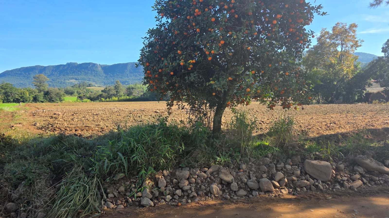 LOTE 006 - LOTE 02: Uma fração de terras, com área superficial de 0.9838 ha, em comum com área maior de 4,5 ha, sita no lugar denominado Cortado, matrícula antiga 6.672, nova matrícula 48833 no município de Paraíso do Sul.